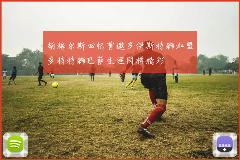 胡梅尔斯回忆曾邀罗伊斯特狮加盟多特特狮巴萨生涯同样精彩