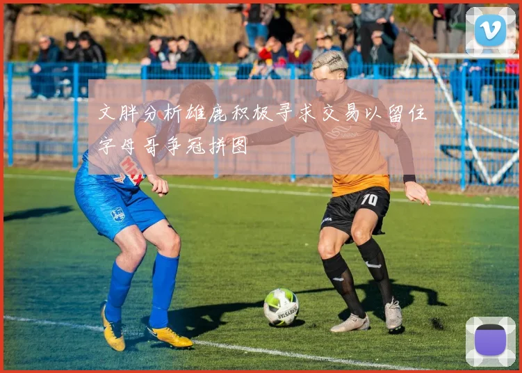 文胖分析雄鹿积极寻求交易以留住字母哥争冠拼图