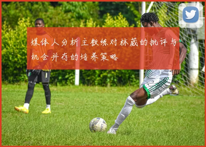 媒体人分析主教练对林葳的批评与机会并存的培养策略